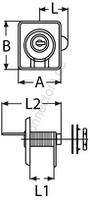 Lifting ring with lock