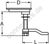 Lifting ring with lock